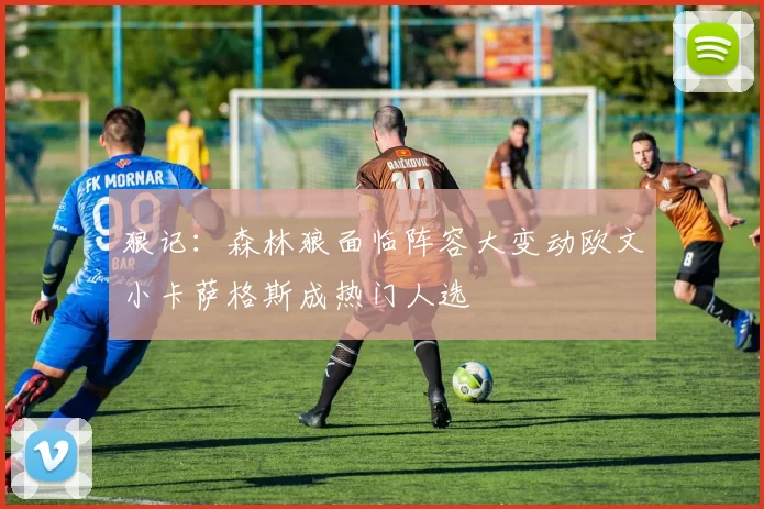 狼记：森林狼面临阵容大变动欧文小卡萨格斯成热门人选
