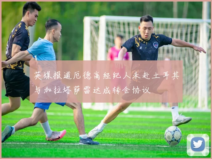 英媒报道厄德高经纪人未赴土耳其与加拉塔萨雷达成转会协议