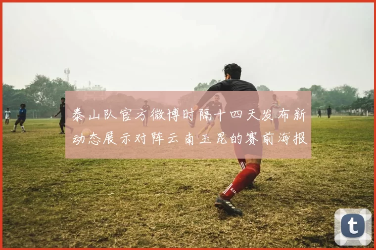 泰山队官方微博时隔十四天发布新动态展示对阵云南玉昆的赛前海报引期待